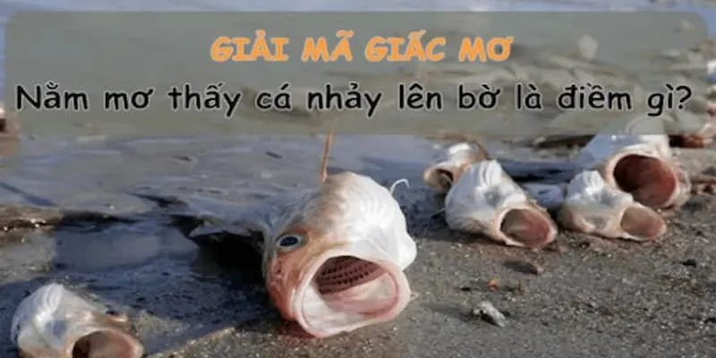 Giải Mã Giấc Mơ Thấy Cá Và Các Con Số May Mắn Liên Quan Nhất 3 Thông tin giải mã giấc mơ thấy cá liên quan